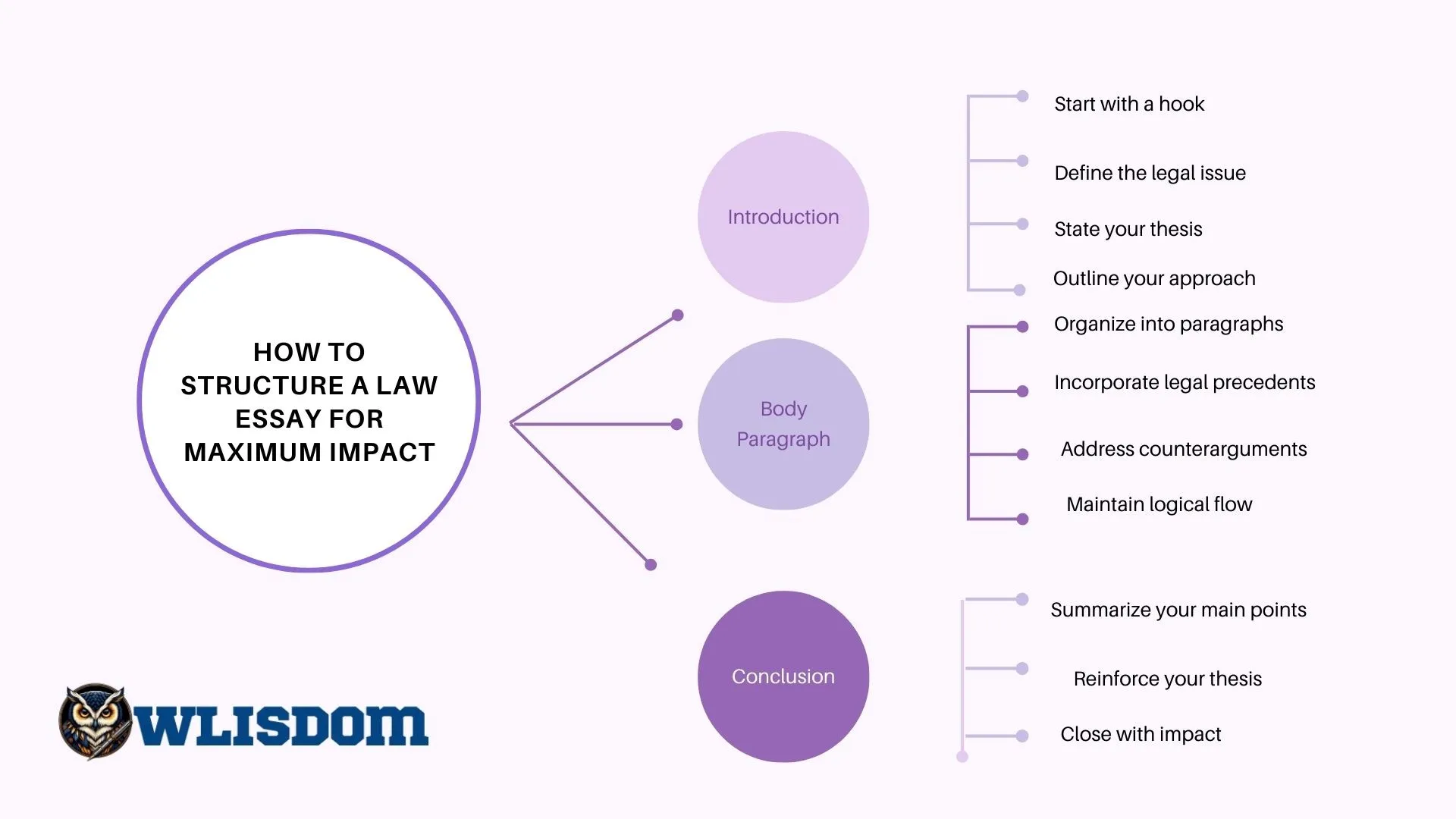 How to Structure a Law Essay for Maximum Impact