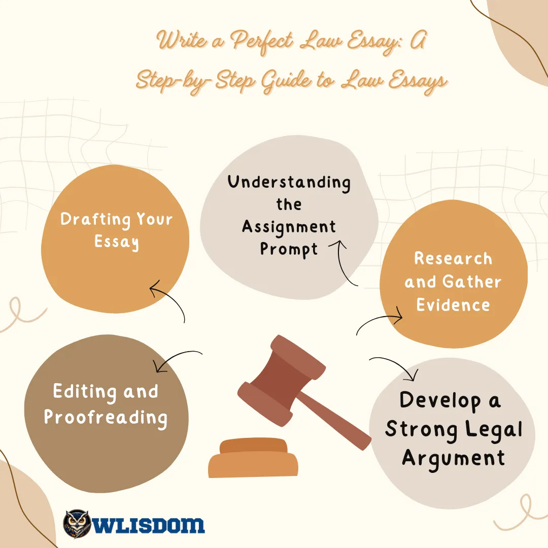 Write a Perfect Law Essay: A Step-by-Step Guide to Law Essays