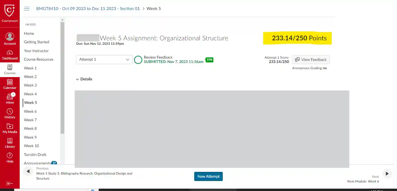 bmgt8410-week-5-assignment-organizational-structure