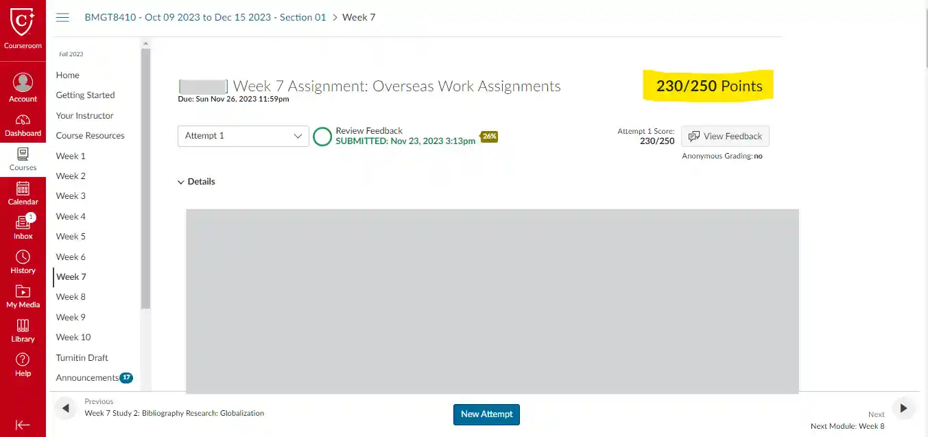 bmgt8410-week-7-assignment-overseas-work-assignments