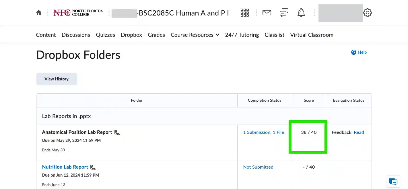 bsc2085c-lab-report