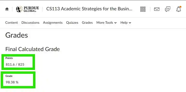 cs113-academic-strategies-for-the-business-professional