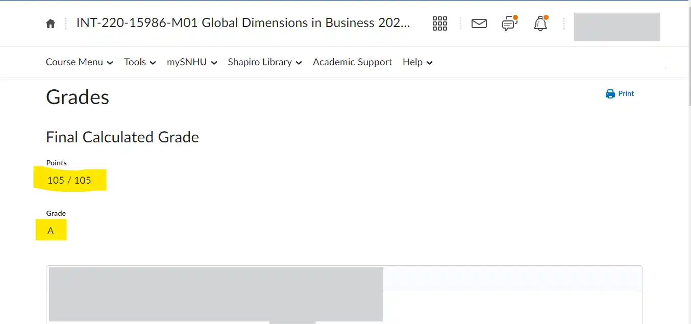 int-220-global-dimensions-in-business-2024-c-3