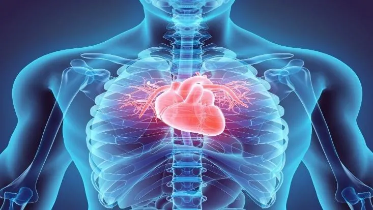 NURS-6501N-45 Advanced Pathophysiology Professional Help  | Owlisdom Guide