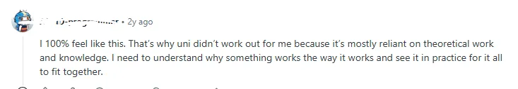 Student discussing the issue regarding theoretical knowledge in ECON 213 on Reddit