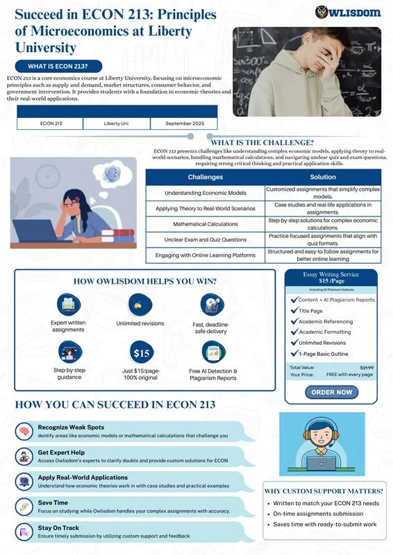 Students' Challenges and Owlisdom Solutions