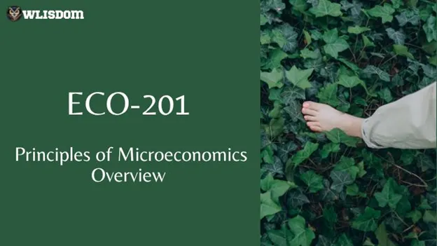 ECO-201 – Principles of Microeconomics: Understanding Markets, Consumer Behavior, and Economic Decision-Making